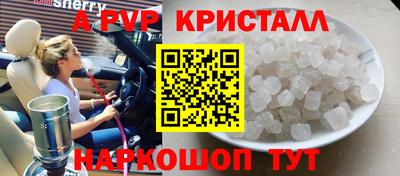 крисы Гагарин