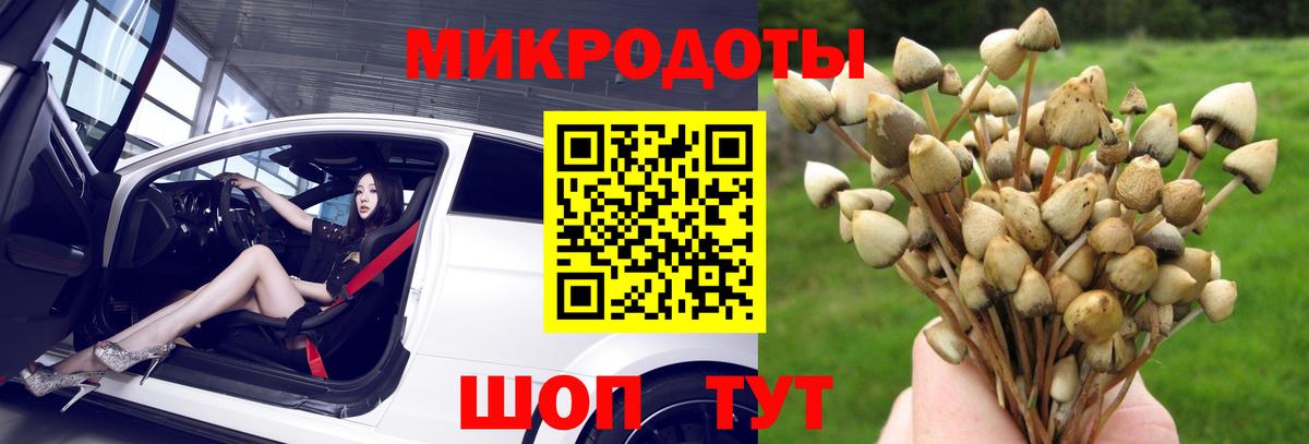 Домодедово  Псилоцибиновые грибы Psilocybine cubensis  где продают наркотики  Галлюциногенные грибы Cubensis  Вход с VPN 